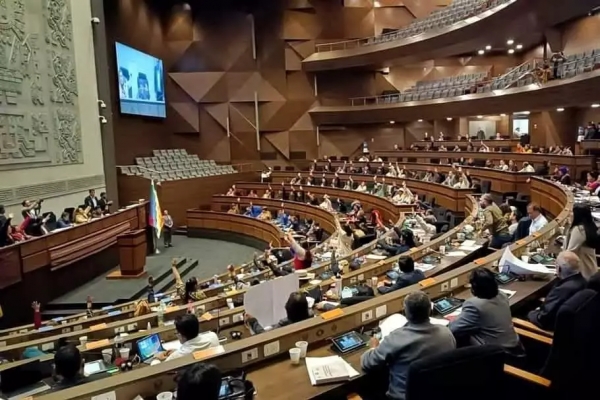 Deisy Choque, diputada saliente: &quot;Me voy decepcionada de ver cómo se condicionan los proyectos en la Asamblea&quot;