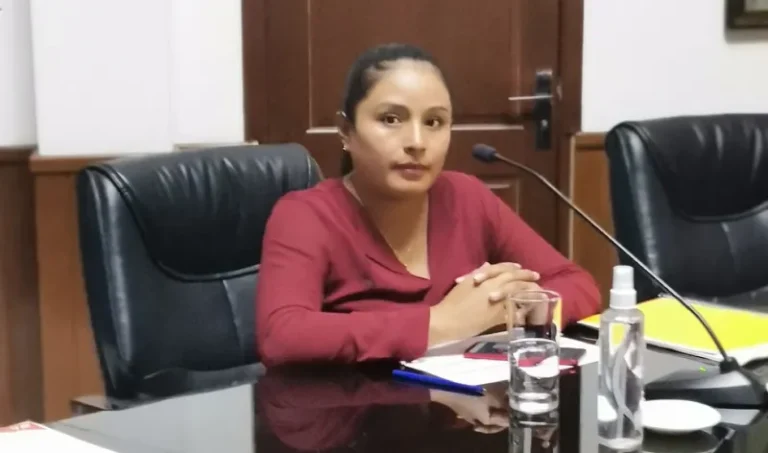 Guilda Veizaga: “Las denuncias sobre nepotismo no son nuevas, ya tenemos las pruebas desde el año pasado”